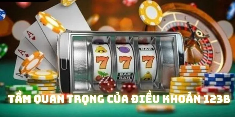 Tầm quan trọng của các điều khoản và điều kiện 123B